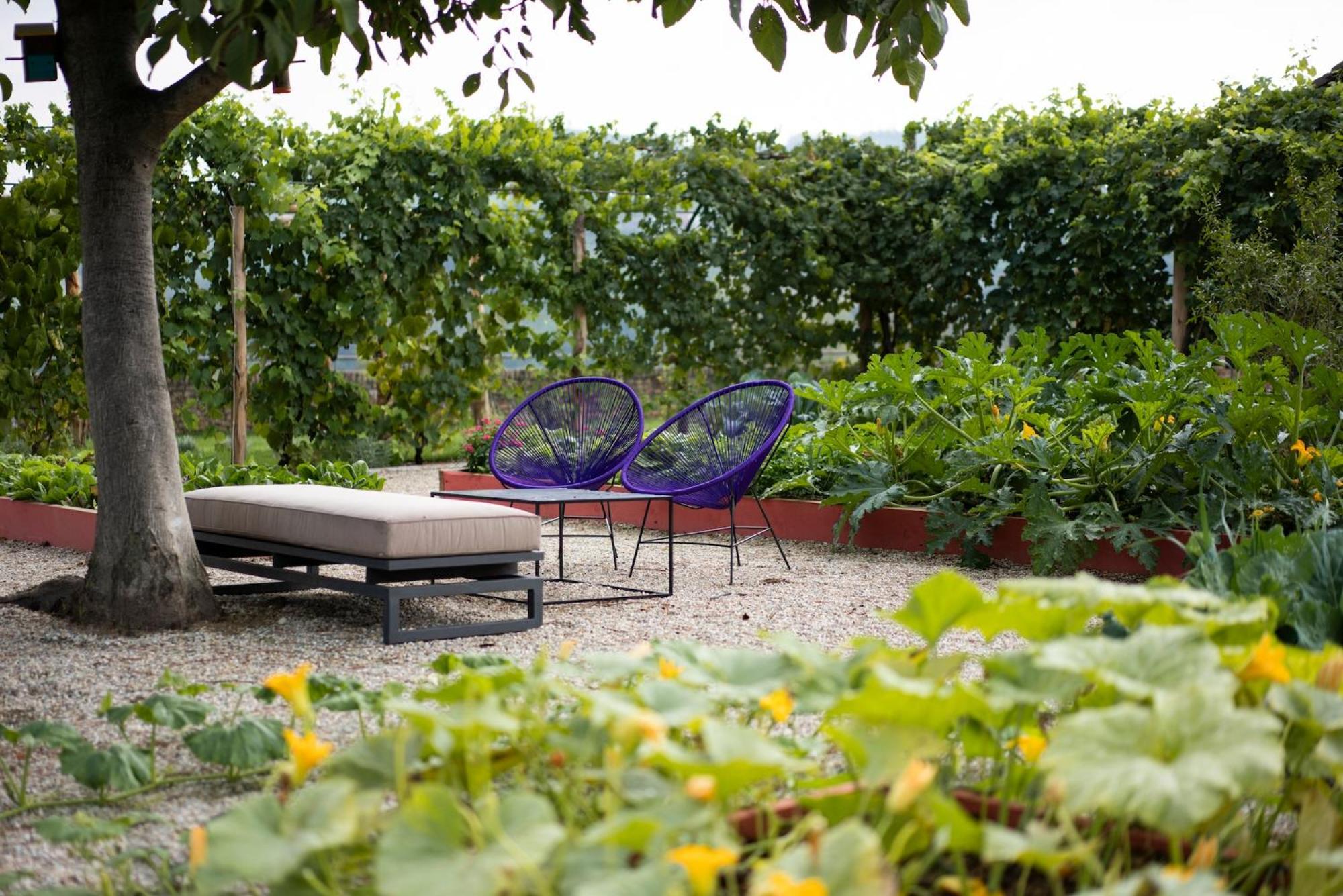 Vigne Di Fagnano 1709 Eco Relais Guest House Санто Стефано Белбо Екстериор снимка